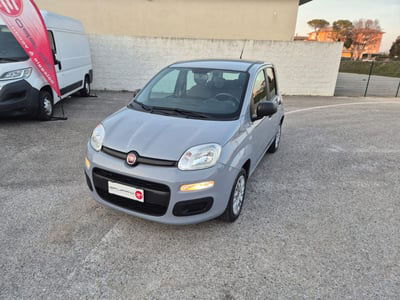 Fiat Panda 1.2 Easy  usata
