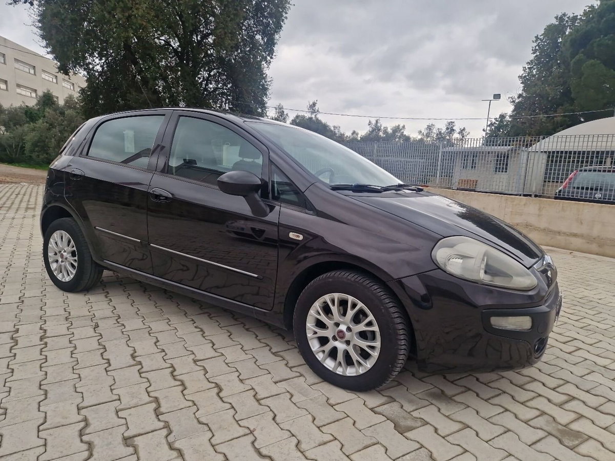 Fiat Punto Evo 1.4 5 porte Dynamic Natural Power (3)