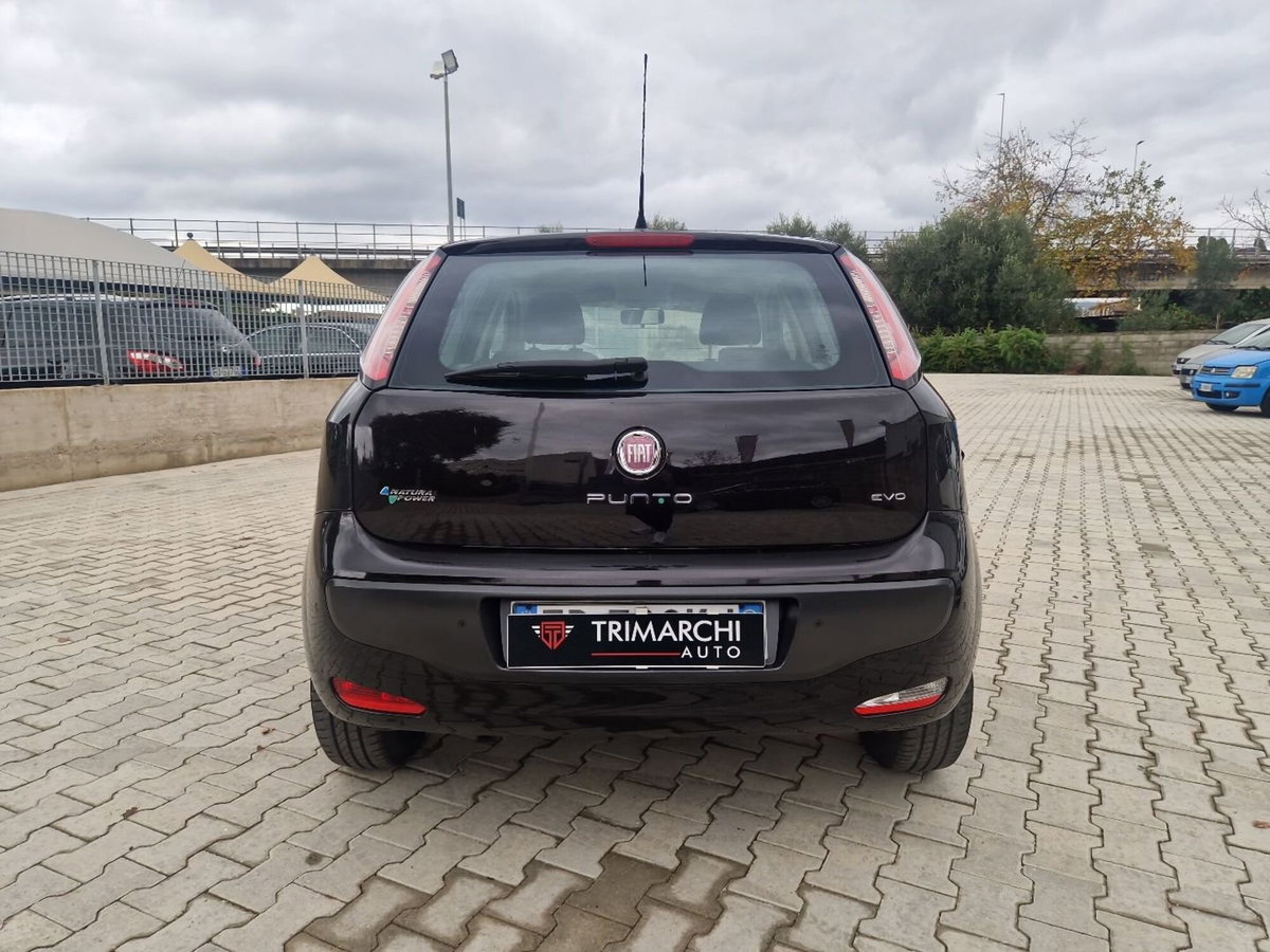 Fiat Punto Evo 1.4 5 porte Dynamic Natural Power (6)