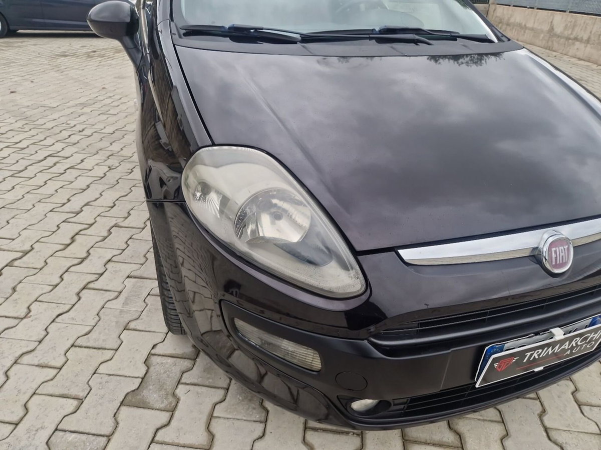 Fiat Punto Evo 1.4 5 porte Dynamic Natural Power (7)