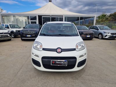 Fiat Panda 1.2 Easy usata