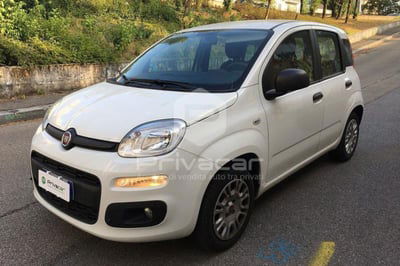 Fiat Panda 1.2 EasyPower Lounge  usata