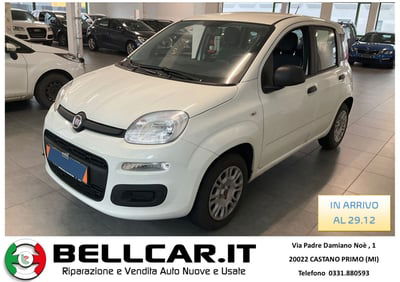 Fiat Panda 1.2 Easy  usata