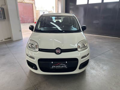 Fiat Panda 1.2 Easy usata