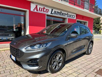 Ford Kuga 2.0 EcoBlue 120 CV aut. 2WD ST-Line X usata