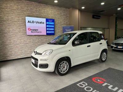 Fiat Panda 1.2 Easy usata