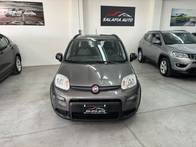 Fiat Panda 1.0 FireFly S&S Hybrid City Cross usata