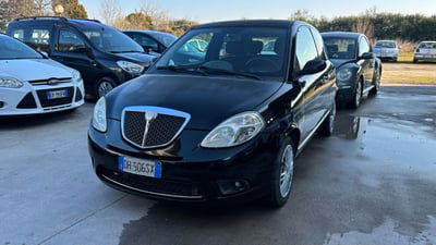 Lancia Ypsilon 1.2 Argento  usata