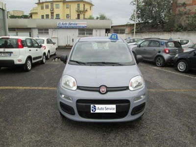 Fiat Panda 1.2 Lounge  usata
