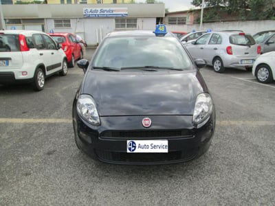 Fiat Punto 1.2 8V 5 porte Lounge  usata