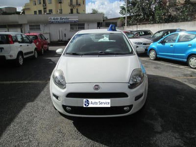 Fiat Punto 1.4 8V 5 porte Natural Power Street  usata