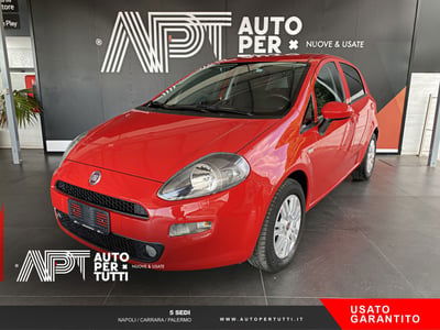 Fiat Punto 1.2 8V 5 porte Street usata