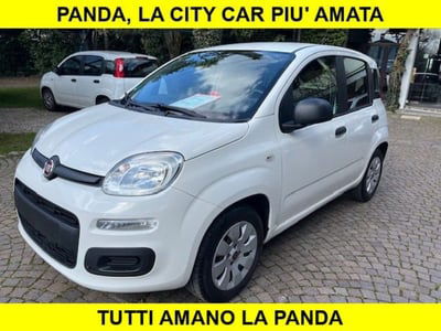 Fiat Panda 1.2 usata