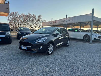 Ford Fiesta 1.1 75 CV GPL 5 porte Business usata