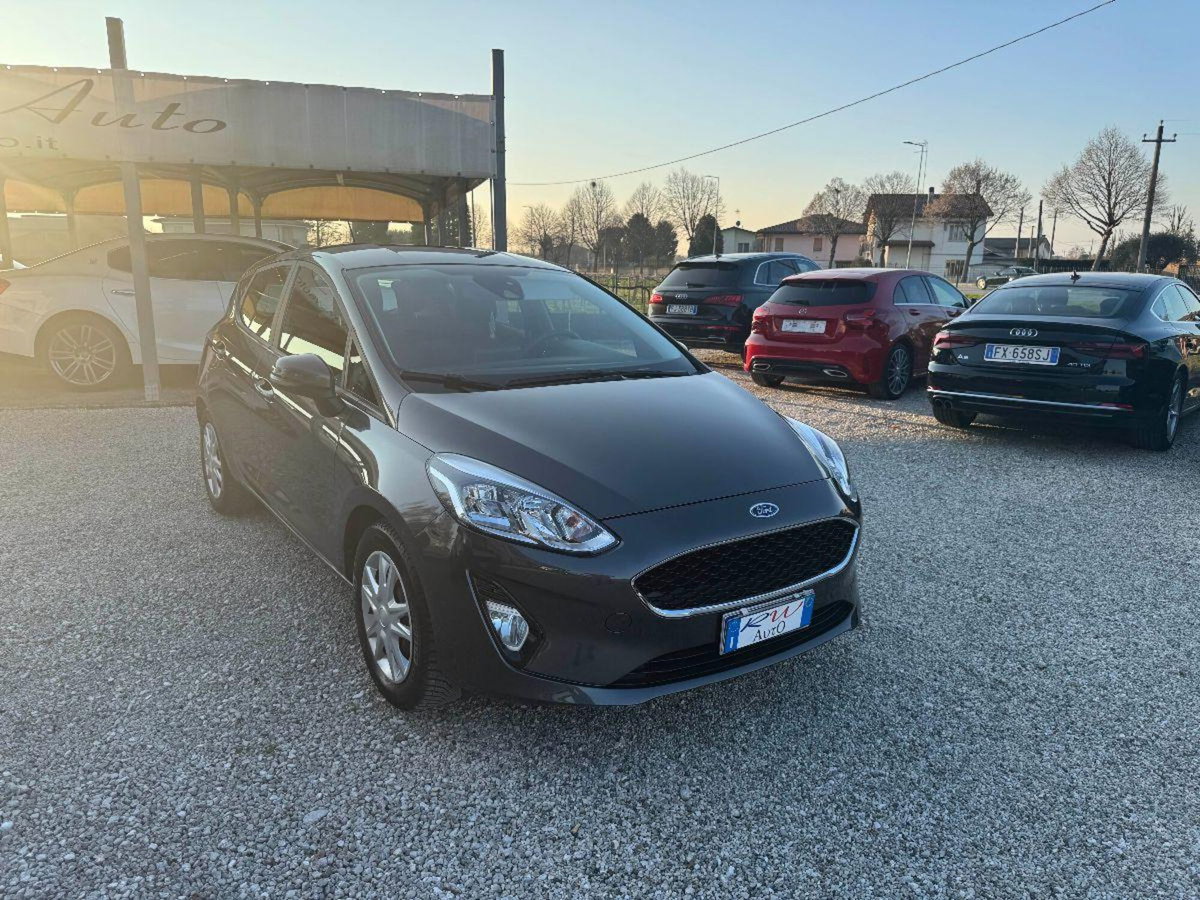 Ford Fiesta 1.1 75 CV GPL 5 porte Business (2)