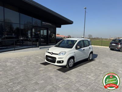 Fiat Panda 1.3 MJT S&S Easy Van 4 posti usata