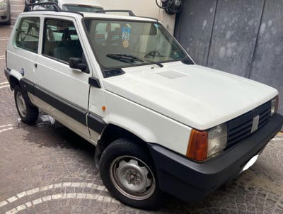Fiat Panda 1100 i.e. cat 4x4 Trekking usata