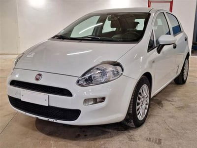 Fiat Punto 1.3 MJT II S&S 95 CV 5 porte Street  usata
