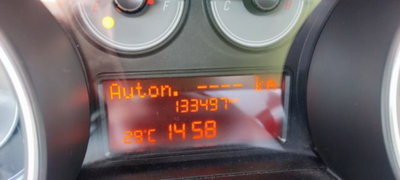Fiat Punto 1.3 MJT II S&S 95 CV 5 porte Easy (14)