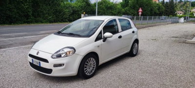 Fiat Punto 1.3 MJT II S&S 95 CV 5 porte Easy (4)