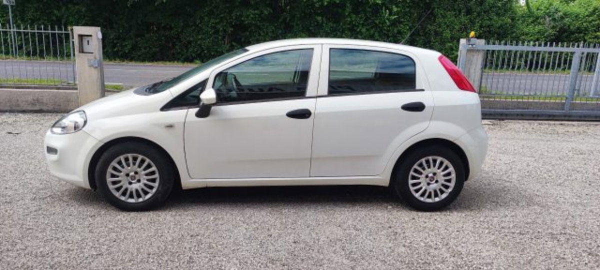 Fiat Punto 1.3 MJT II S&S 95 CV 5 porte Easy (5)