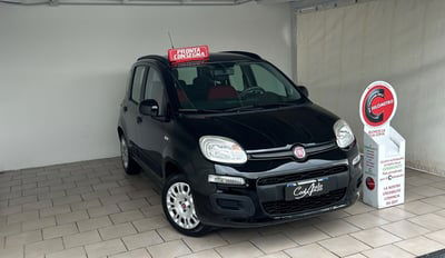 Fiat Panda 1.2 Lounge  usata