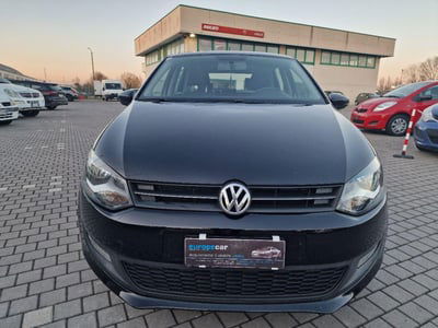 Volkswagen Polo 1.2 5 porte United usata