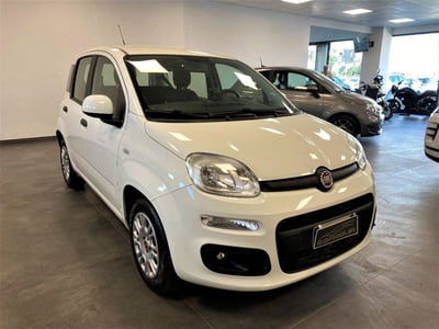 Fiat Panda 1.2 Lounge usata