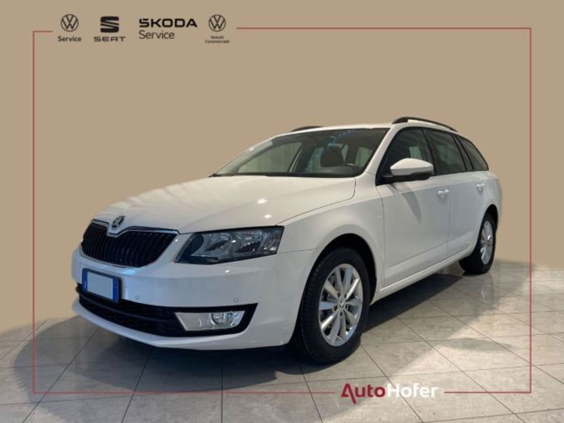 Skoda Octavia Station Wagon 1.6 TDI CR 110 CV 4x4 Wagon Ambition