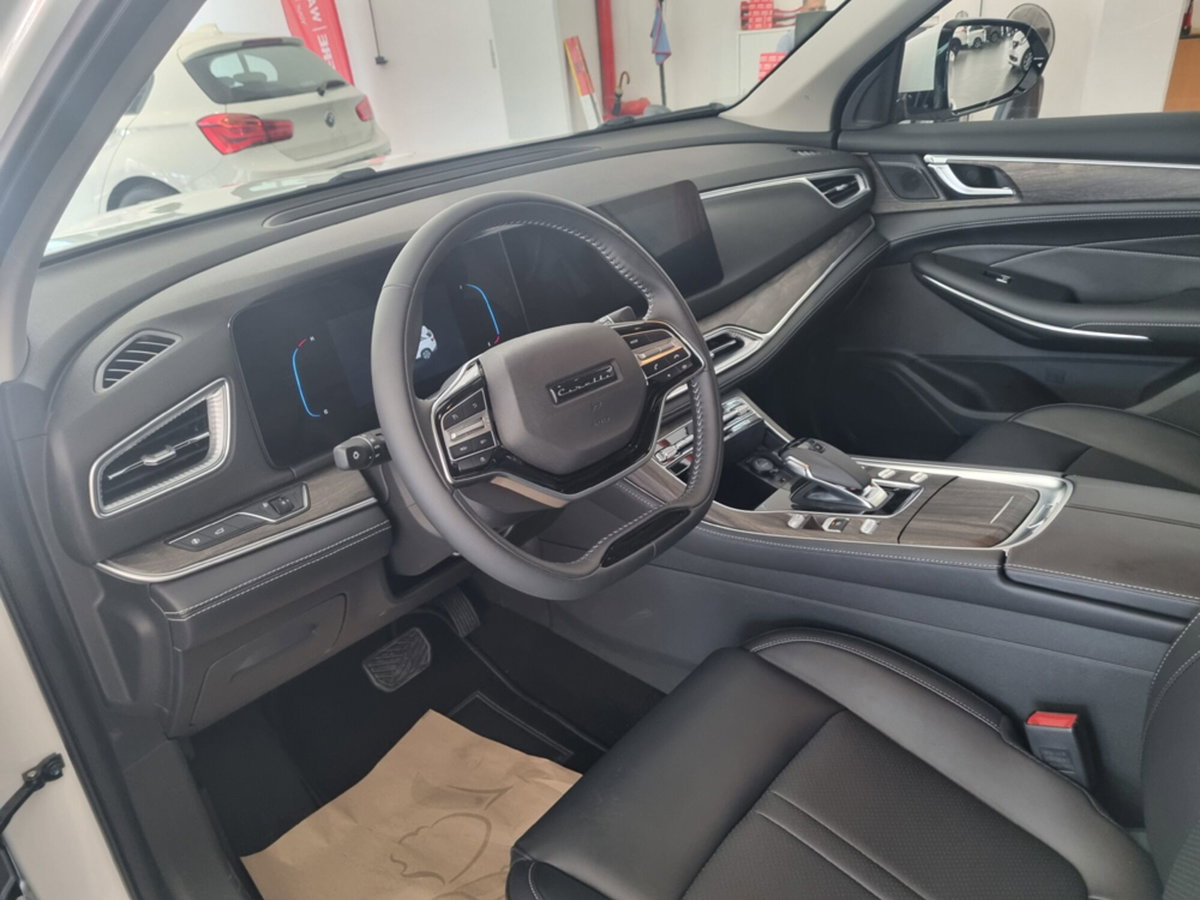 Cirelli Cirelli 4 1.5 turbo Plus dct (8)