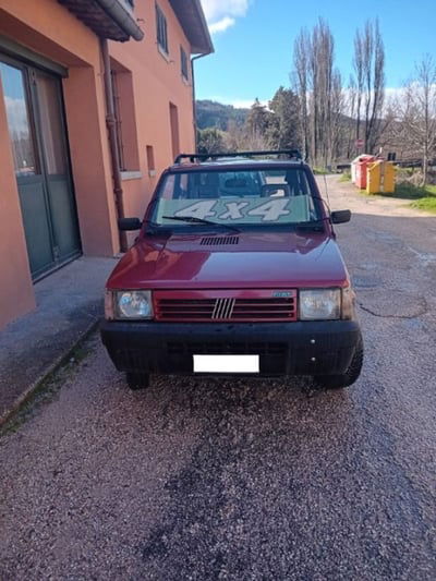 Fiat Panda 1100 i.e. cat 4x4 Country Club  usata
