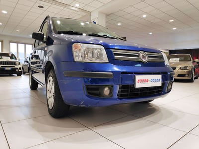 Fiat Panda 1.2 Dynamic usata