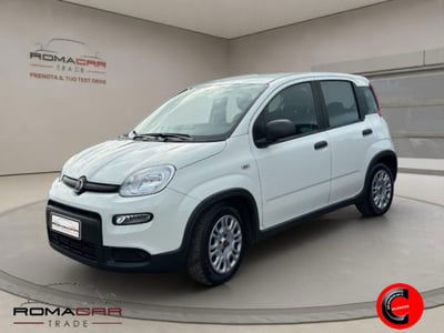 Fiat Panda 1.0 firefly hybrid s&s 70cv 5p.ti usata
