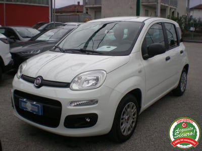 Fiat Panda 1.2 EasyPower Easy usata