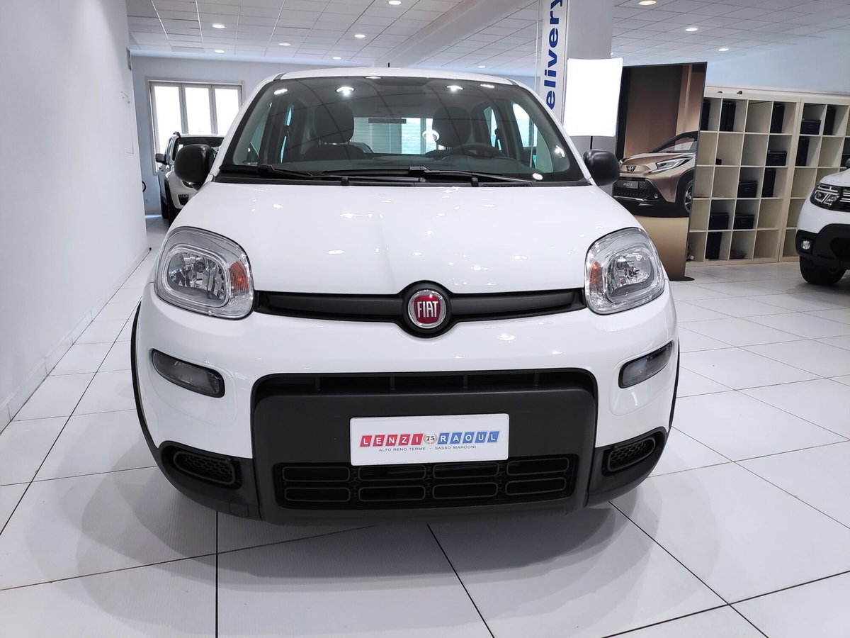 Fiat Panda Cross Cross 1.0 FireFly S&S Hybrid (10)