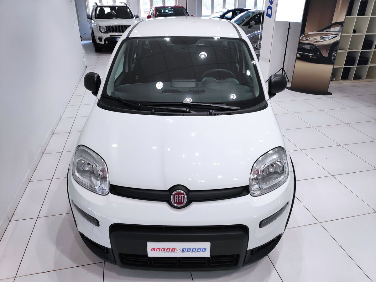 Fiat Panda Cross Cross 1.0 FireFly S&S Hybrid (11)