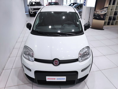 Fiat Panda Cross Cross 1.0 FireFly S&S Hybrid (11)