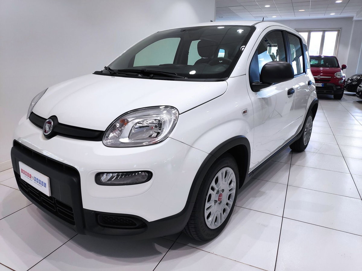 Fiat Panda Cross Cross 1.0 FireFly S&S Hybrid (12)
