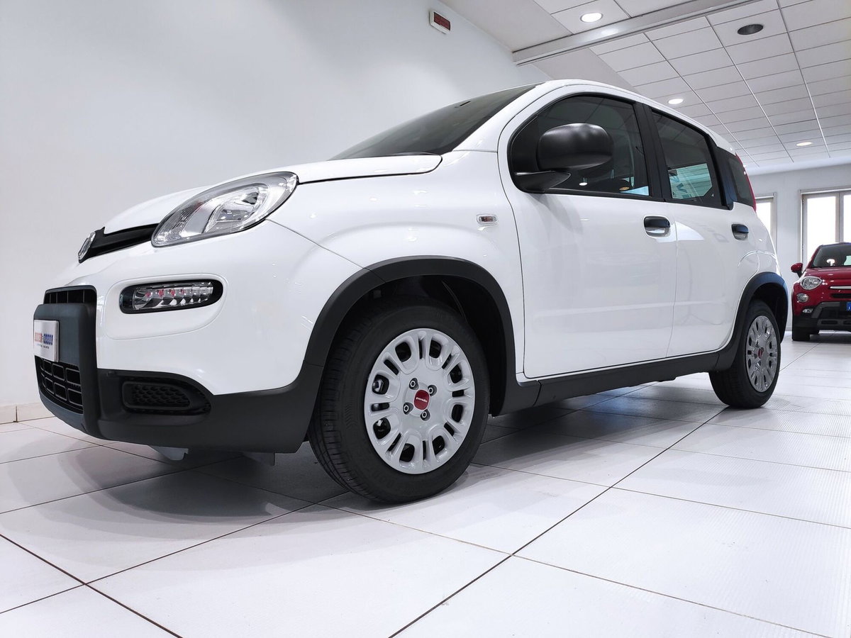 Fiat Panda Cross Cross 1.0 FireFly S&S Hybrid (14)