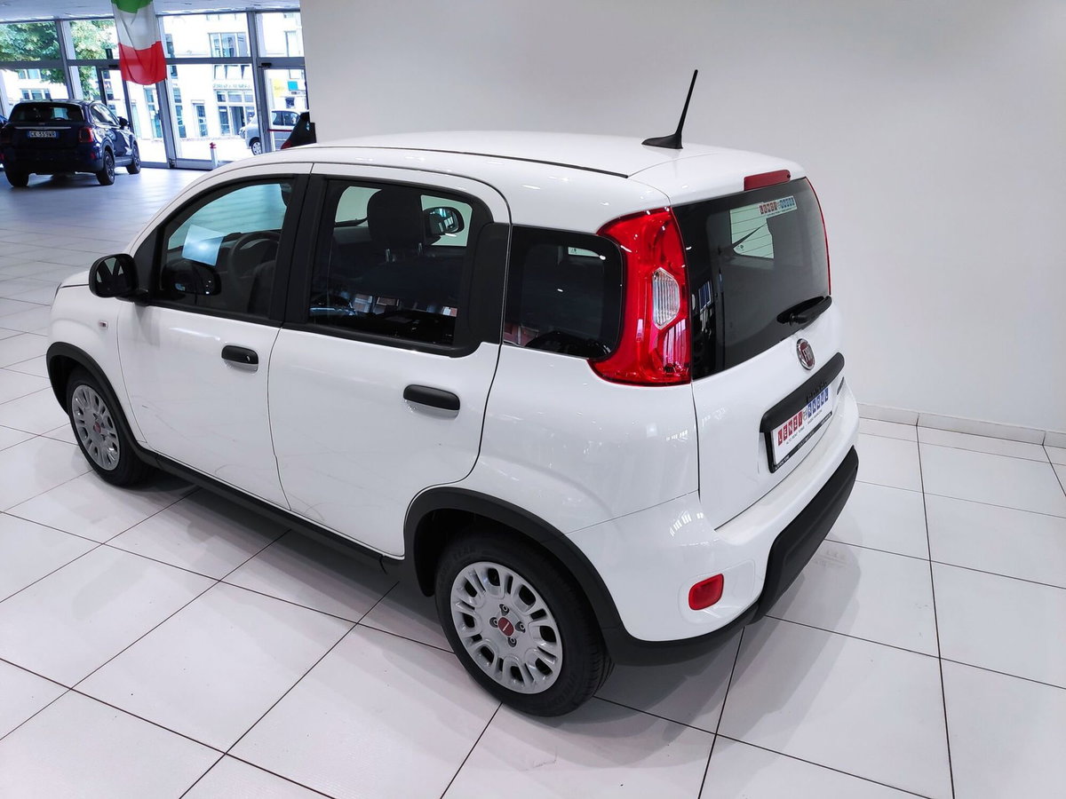 Fiat Panda Cross Cross 1.0 FireFly S&S Hybrid (15)