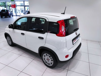Fiat Panda Cross Cross 1.0 FireFly S&S Hybrid (15)