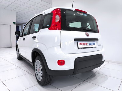 Fiat Panda Cross Cross 1.0 FireFly S&S Hybrid (16)