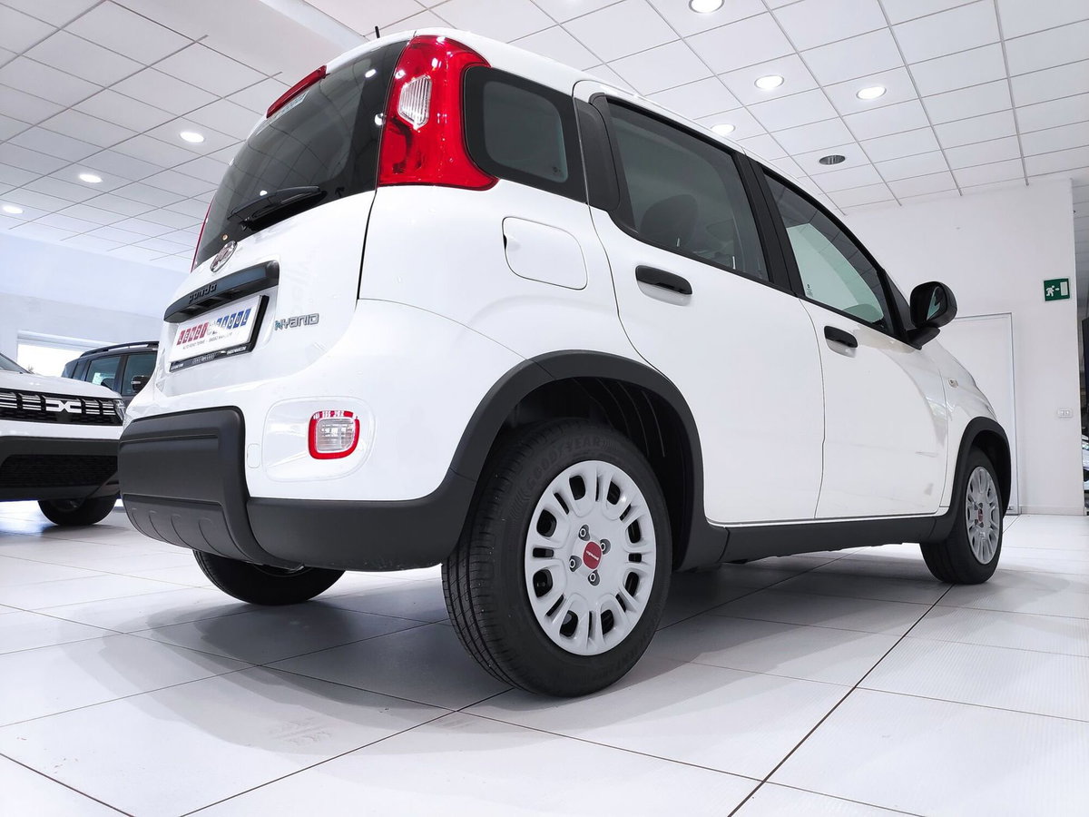 Fiat Panda Cross Cross 1.0 FireFly S&S Hybrid (18)