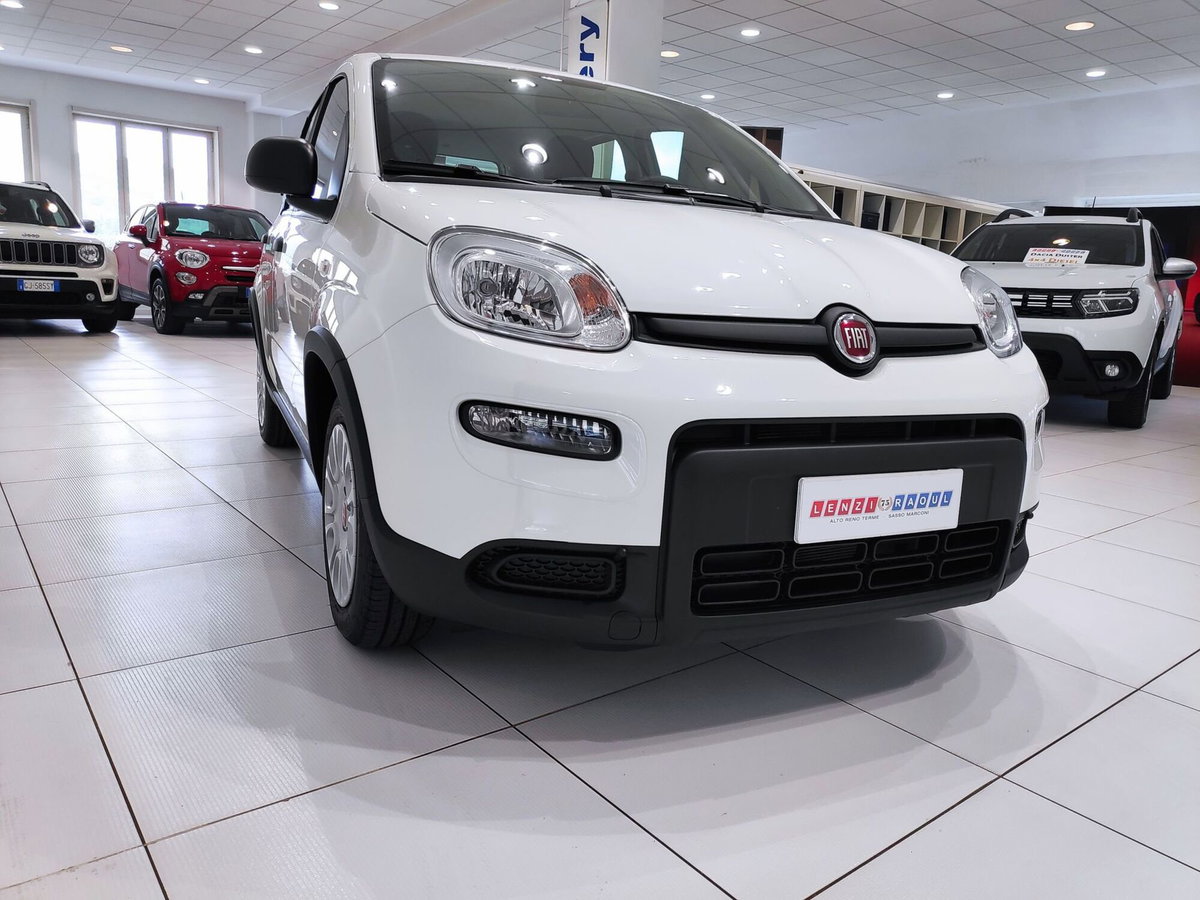 Fiat Panda Cross Cross 1.0 FireFly S&S Hybrid (2)