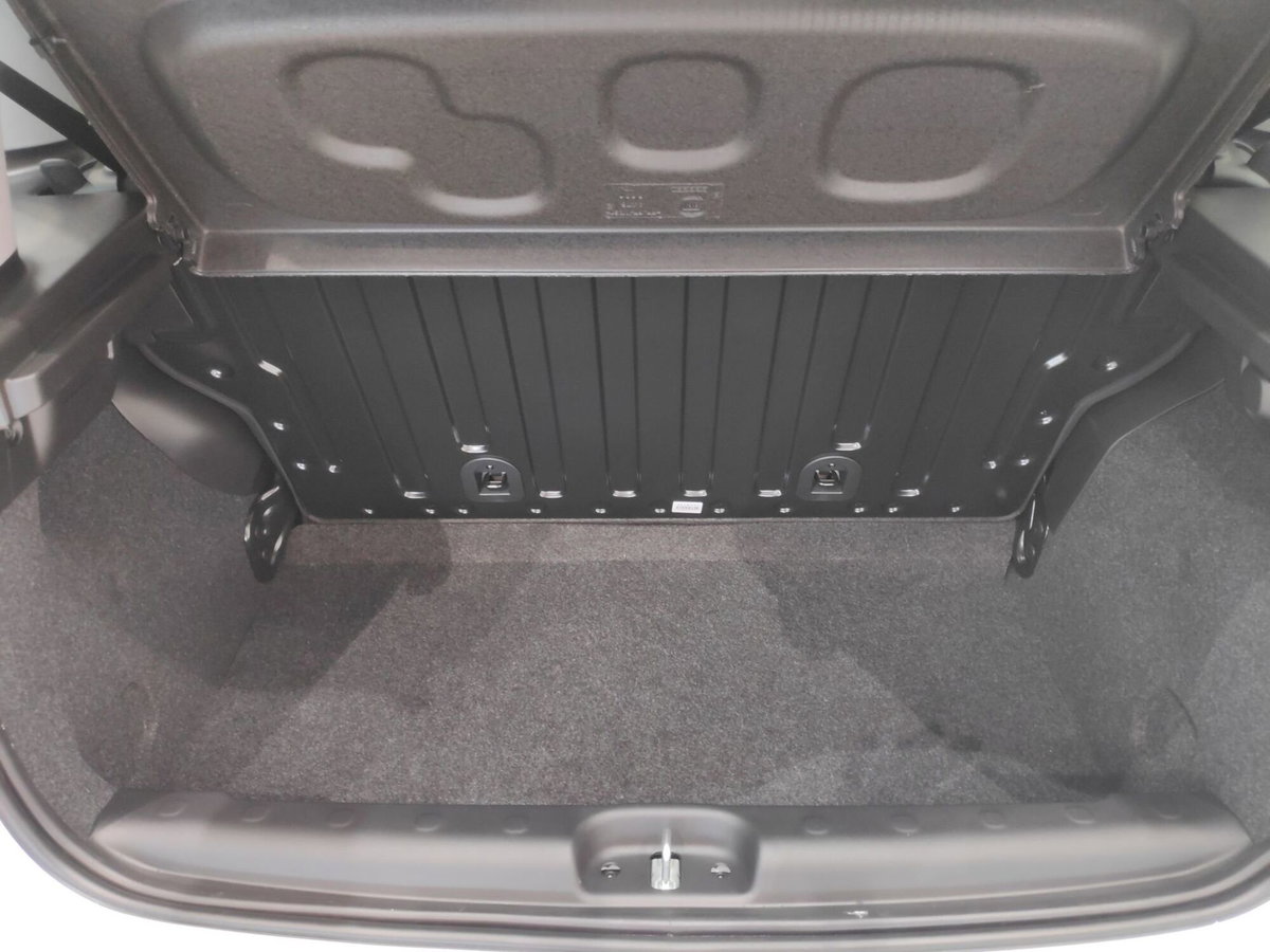 Fiat Panda Cross Cross 1.0 FireFly S&S Hybrid (20)