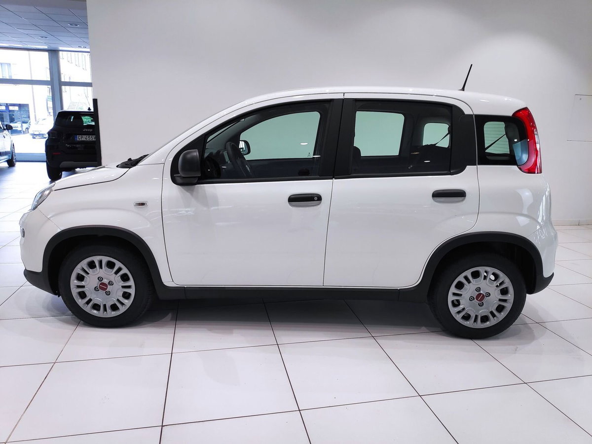 Fiat Panda Cross Cross 1.0 FireFly S&S Hybrid (3)