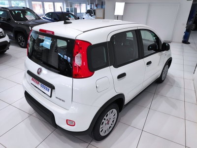Fiat Panda Cross Cross 1.0 FireFly S&S Hybrid (4)