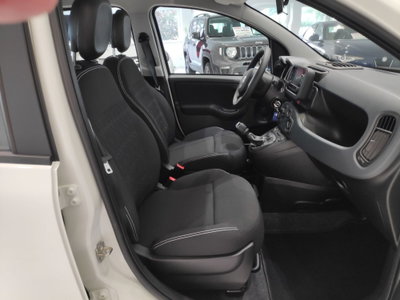 Fiat Panda Cross Cross 1.0 FireFly S&S Hybrid (6)