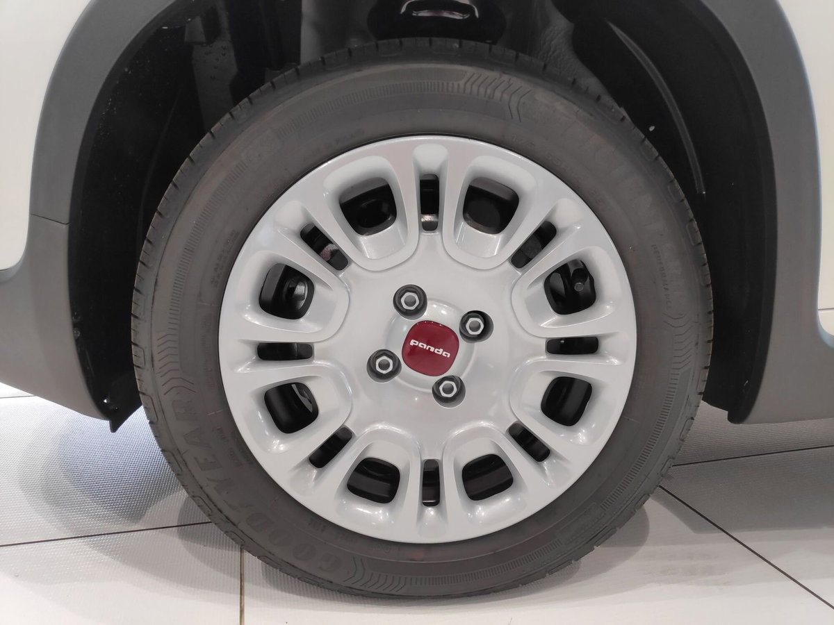 Fiat Panda Cross Cross 1.0 FireFly S&S Hybrid (9)