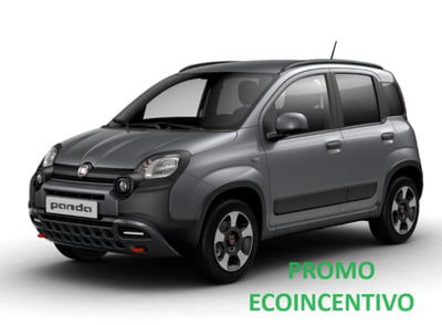 Fiat Panda 1.0 FireFly S&S Hybrid City Cross usata